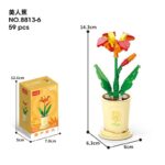 LLB-8813 - Image 8
